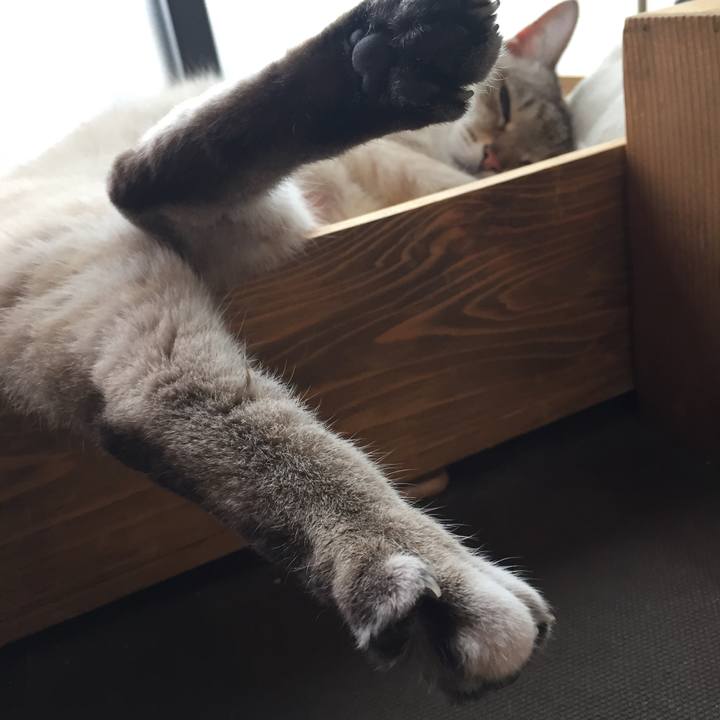 07d7c3b5 383f 4b6a acaa 1a8994ef3ce0