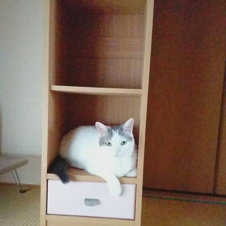 07d89cca 2d5e 4d3c 8703 d5f4532a10a1