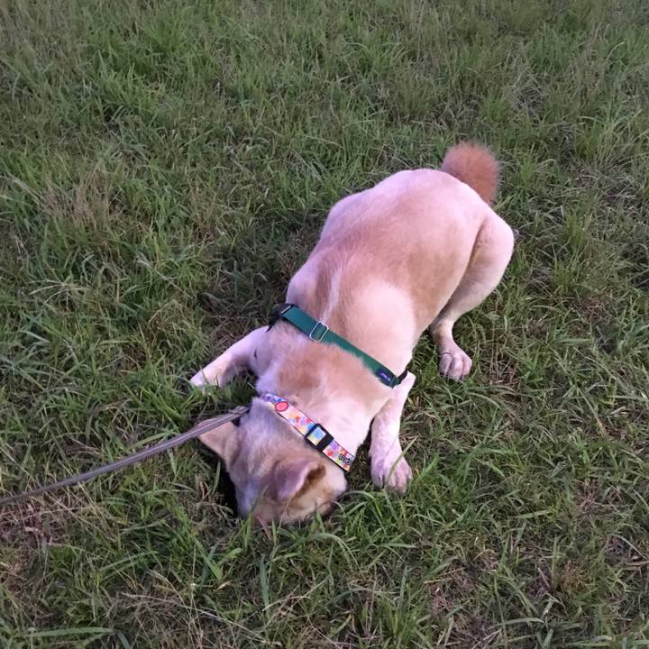 07d8a490 a800 497a 81c0 459fbae9cc1e