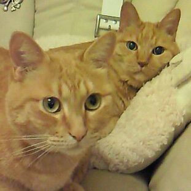 07d8b74a 6d26 4575 be5b 193218522f06