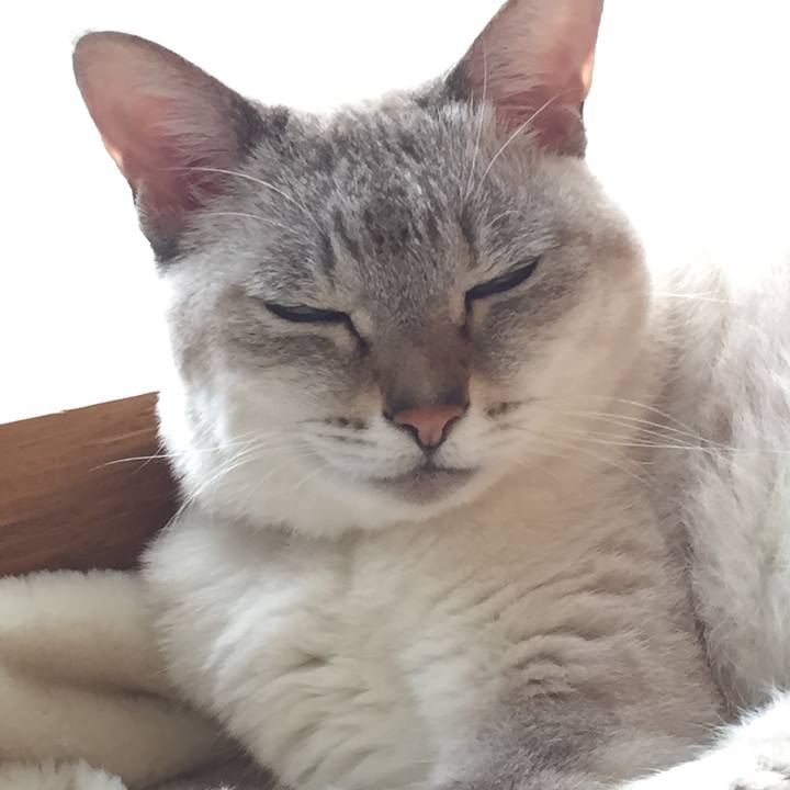 07d91c3f e486 412b bc01 9e89cc5c311a