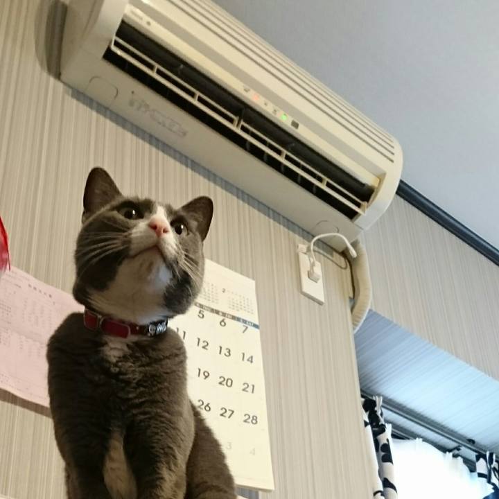 07d963ed 2d19 41a7 8a8f 31bbf6465c07