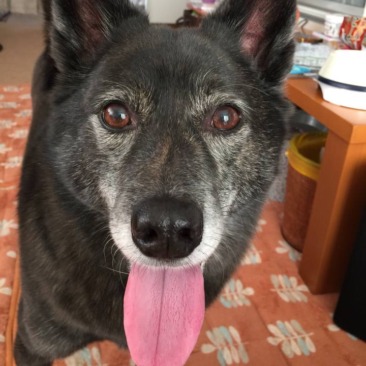 07d975e7 b59e 48d3 81a0 059c72f6ca70