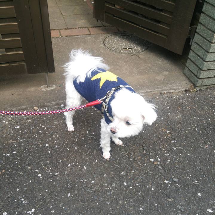 07d99fa8 8dbe 400b 9a42 5e635fb08072