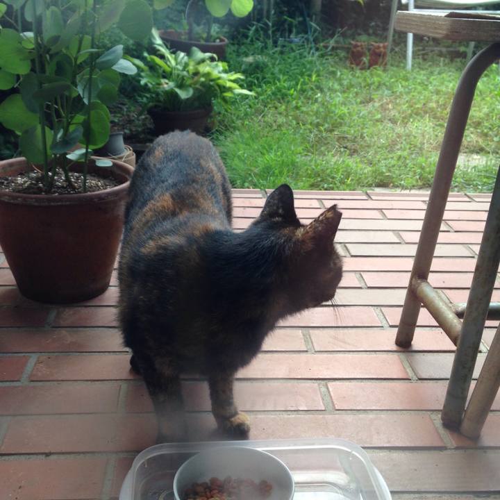 07d9a685 6733 4951 8543 7b2ffdff3fe5