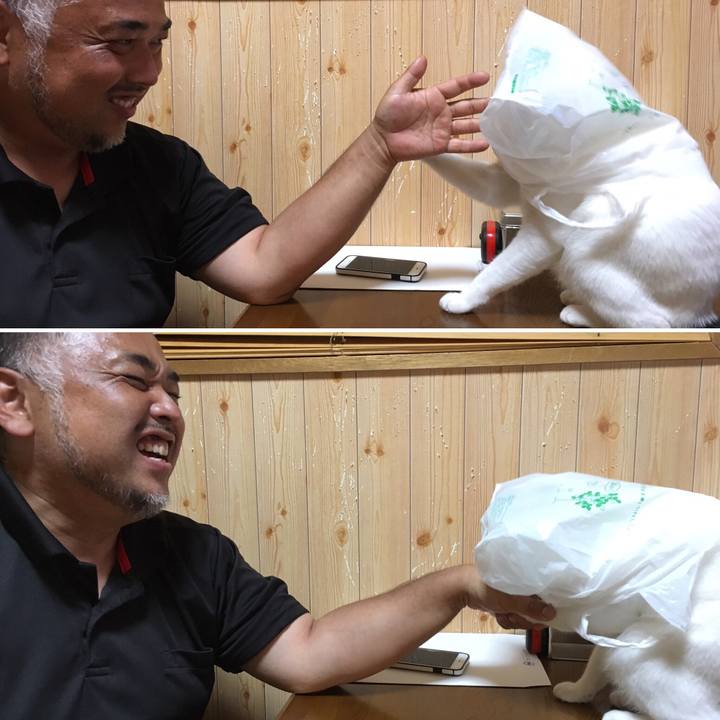 07d9e7ca 4ae7 42c9 904e 7db3633929d9