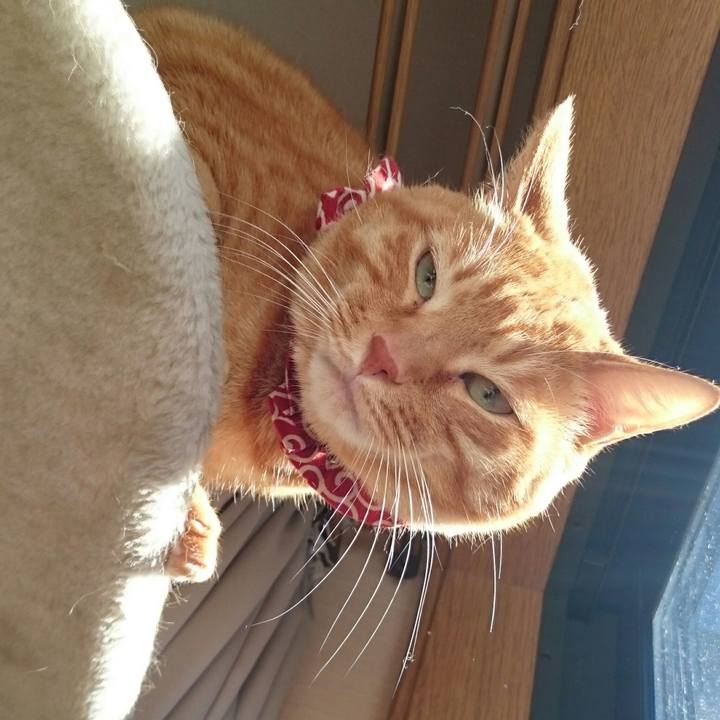 07da055d da79 484e bd5b 993a8b1af145