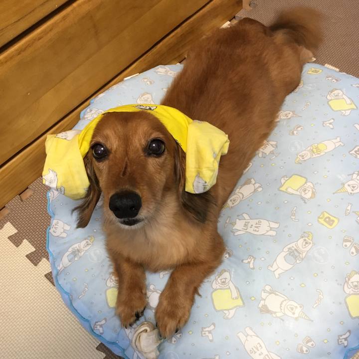 07da158d 8b2d 42a1 81f9 c516977f9bfb