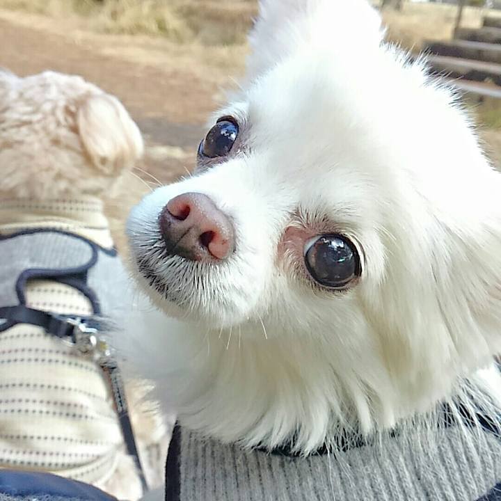 07da61c6 4a7d 4ffb 9075 b77b97fb600a