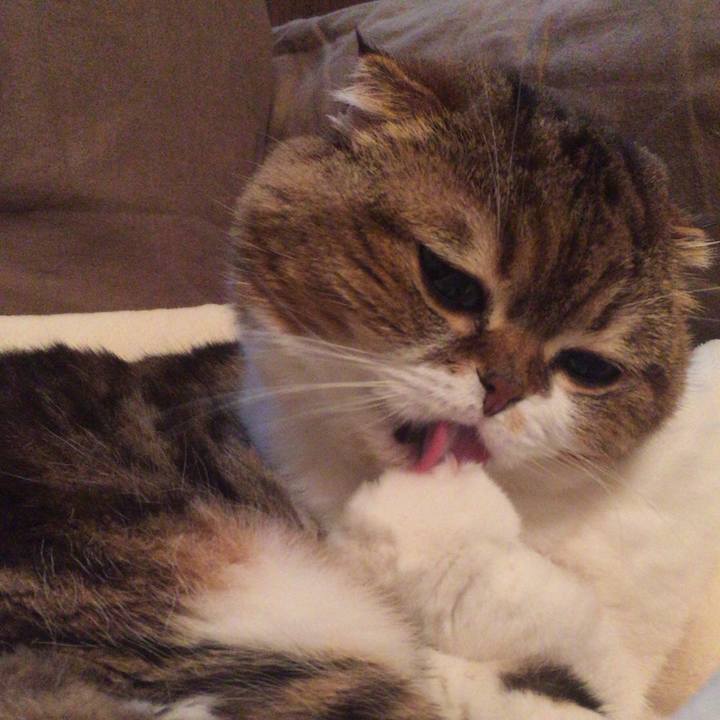 07dbde7c 7bd7 4c5d 805f bed654d8392e