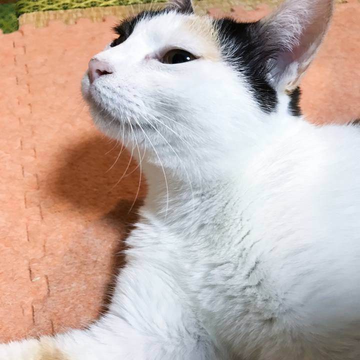 07dc7a2a ea5b 4b1d 899a d067d81e2619