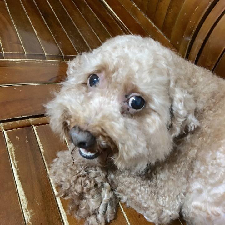 07dc7cf7 4159 449a 975d f0934ec2a36e