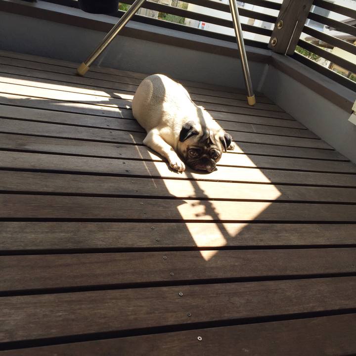 07dc8463 d0eb 4d0f b7d5 157f2678b0f0