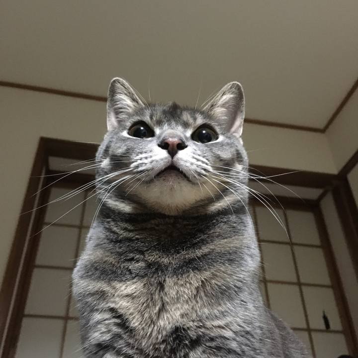 07dcc7dc beb0 42cc a1cc ea99db9bb678