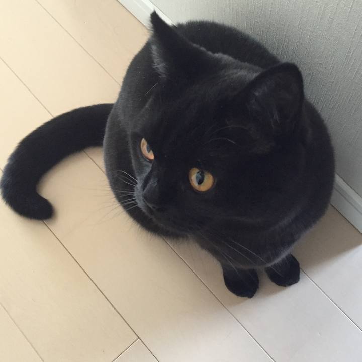 07dd300f cdfd 4905 bd15 42f496d4fff4