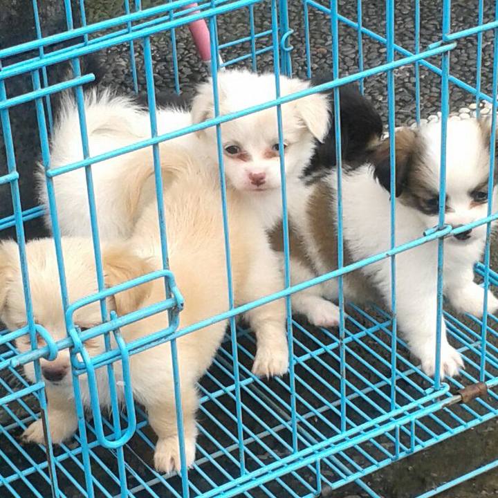 07defc4e c998 4676 9126 43e8f2b05b9a