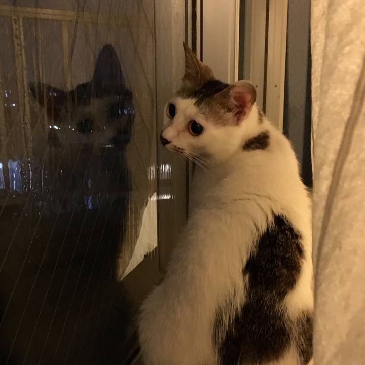 07df3f2e 1d84 4fa6 a6f9 e7e2aac6285a