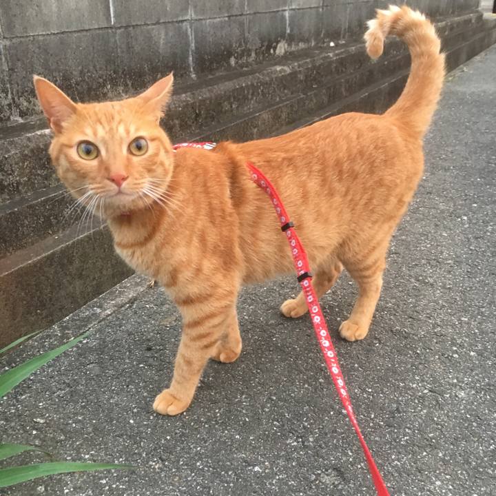 07df5077 f67f 4f7c b1fe 43d1b40ee084