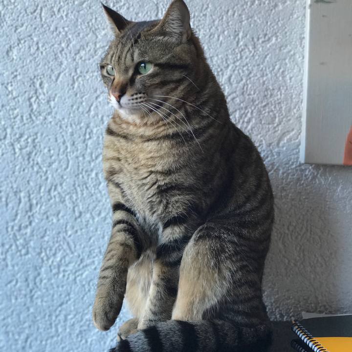 07dff9a6 5928 487a 9998 420bf779216d