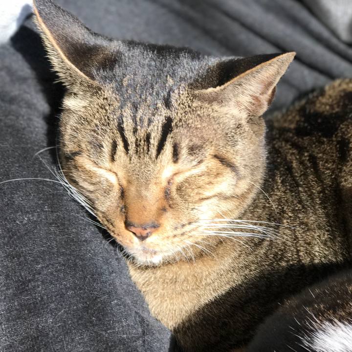 07e10a32 6a38 4cfc b855 86eaf73aa99d