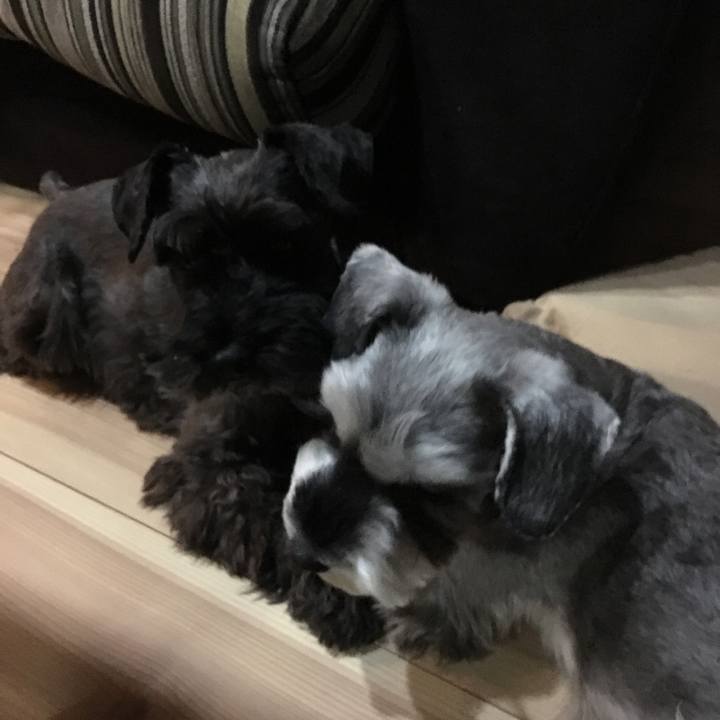 07e1cccb 5b58 4ae4 ad77 ebccee7bc5ea