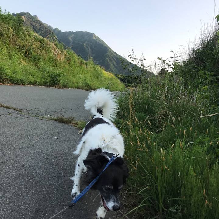 07e1d2fc 400d 4ca3 b486 4db475d768f9