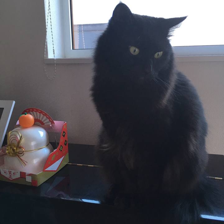 07e25ac9 12e0 4358 baa9 1e032f66c17a