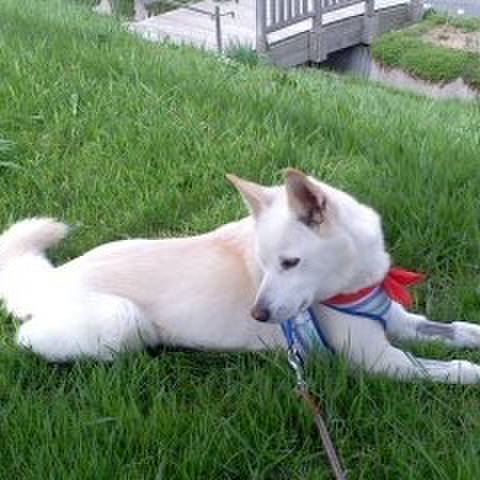 07e287f3 d039 4ec7 8463 5342db5bbf67