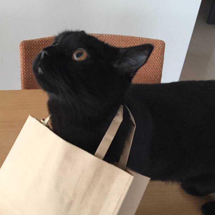 07e33291 b4eb 4f2e b15c 82e73d6f40f2