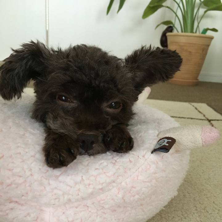 07e3b47f 7b51 4473 835d d5b9c70b70ab