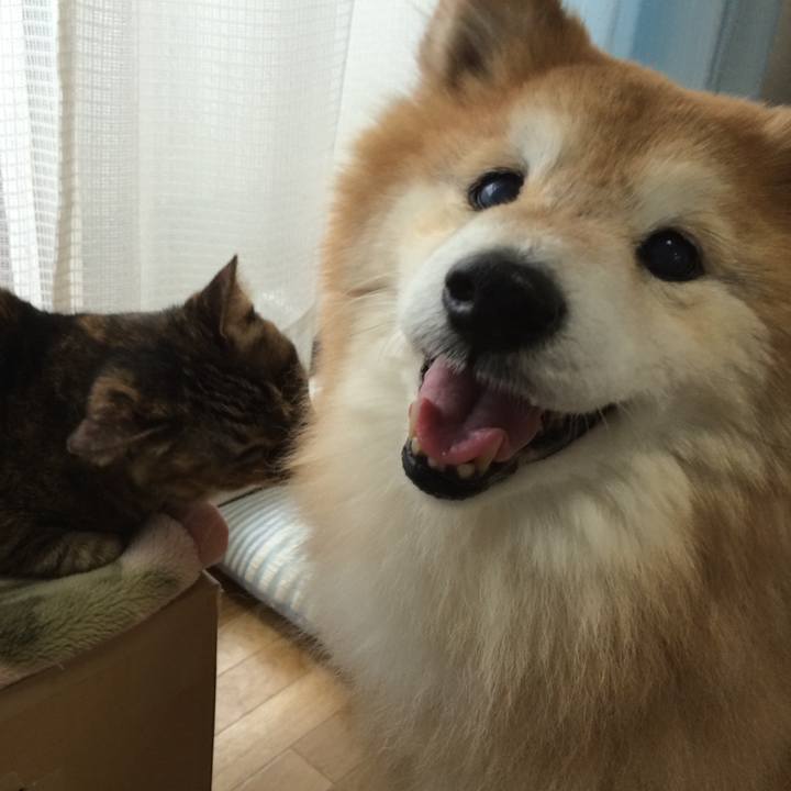 07e3ea35 9a6a 4453 9269 82ece2e37dd4