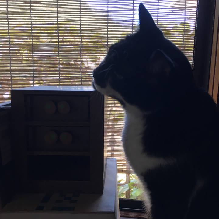 07e40b2e d19a 4b9d bf86 05a7ca9dfe2c