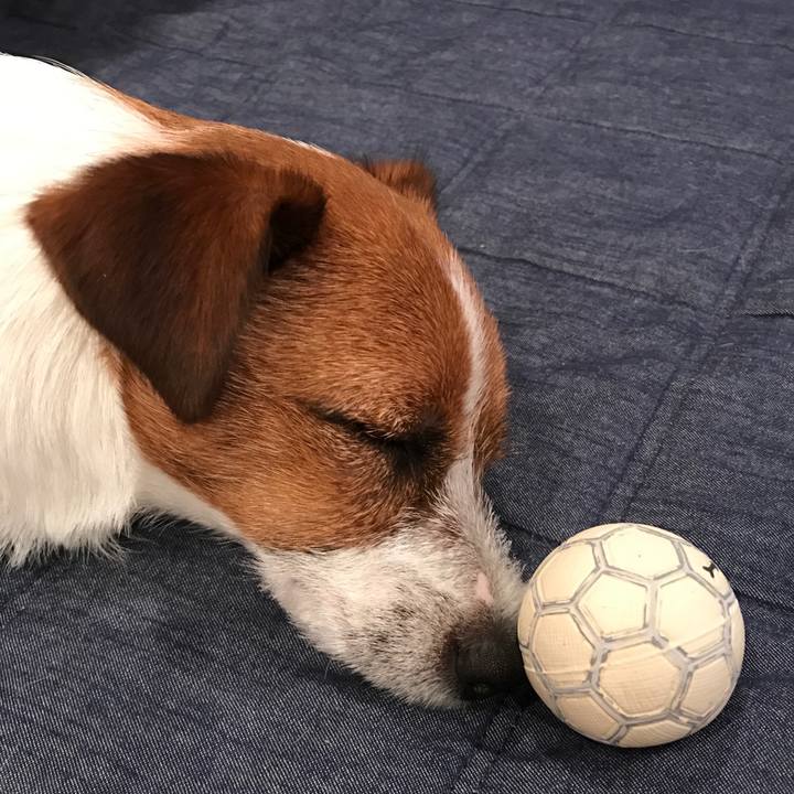 07e451f3 ac13 432f 9b26 803b290e2cba