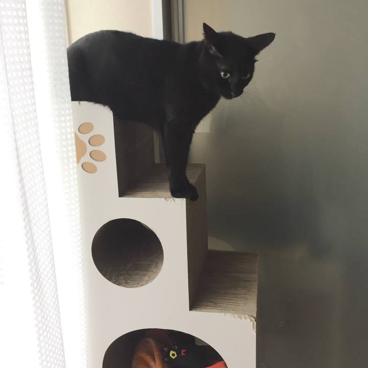 07e5820a 35af 46b3 8b78 ef635600ca1e