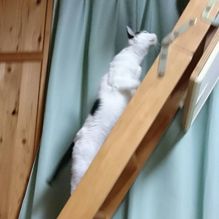 07e5b11b 3832 45cb 9a90 c4e4e401f1aa