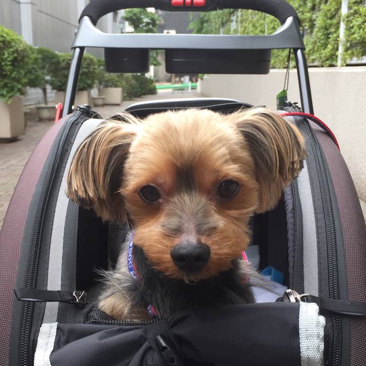 07e8042d 5f3c 4ba7 8a46 117dbe90ba03