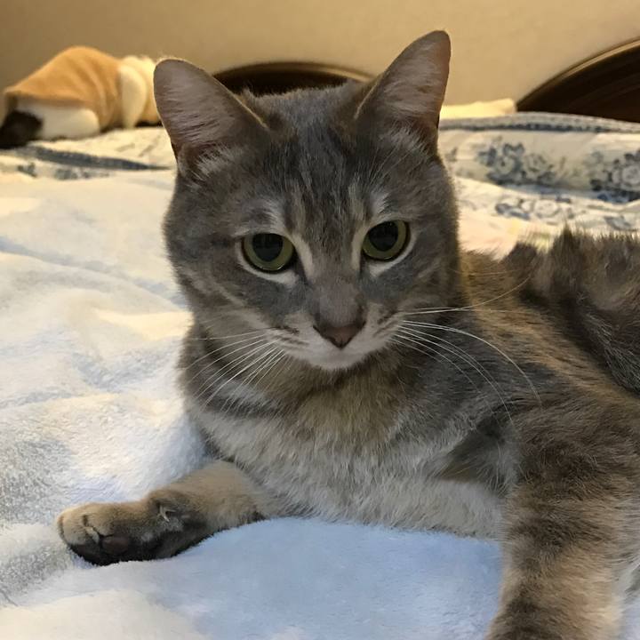 07e82f0b db4a 4ee6 a249 a7eaa7a60223