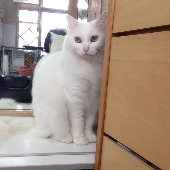 07e8b13d 156e 47c8 af38 ca0b829d79cc