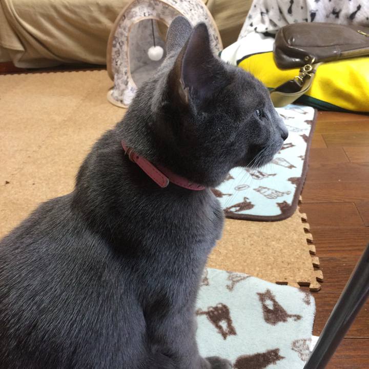 07eb3ccb 732d 4240 80e5 12731947dfe5