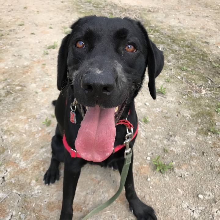 07ebf1c9 e894 49c5 bc4f b3552576cd0f