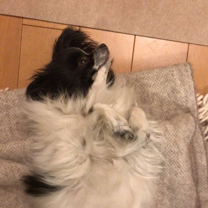 07ec0159 224a 4855 bc15 6ace3d0a9ca9