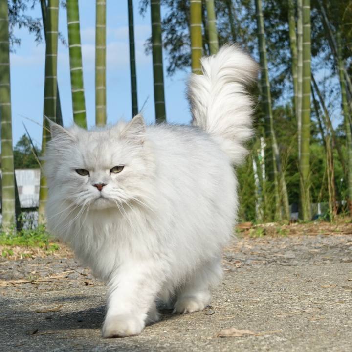 07ed60dd a05a 4106 acd7 8a0863e51884