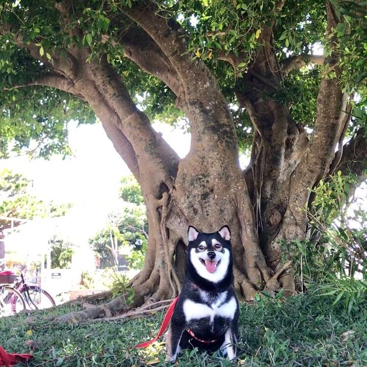 07ed61ad 80b2 4467 b4f0 8d46c9d4b1d6