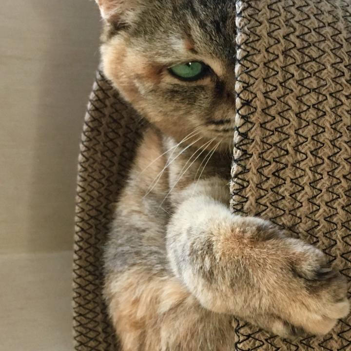 07eda4d3 aefe 4c73 9d5c 6dd2dd7bf039