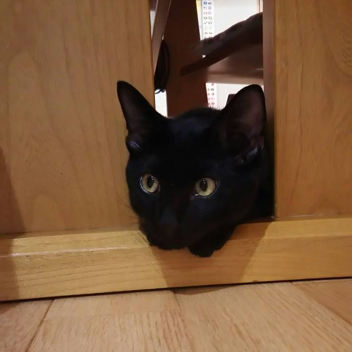 07ee412a ba4f 4ed6 a682 53dd7e8f2150