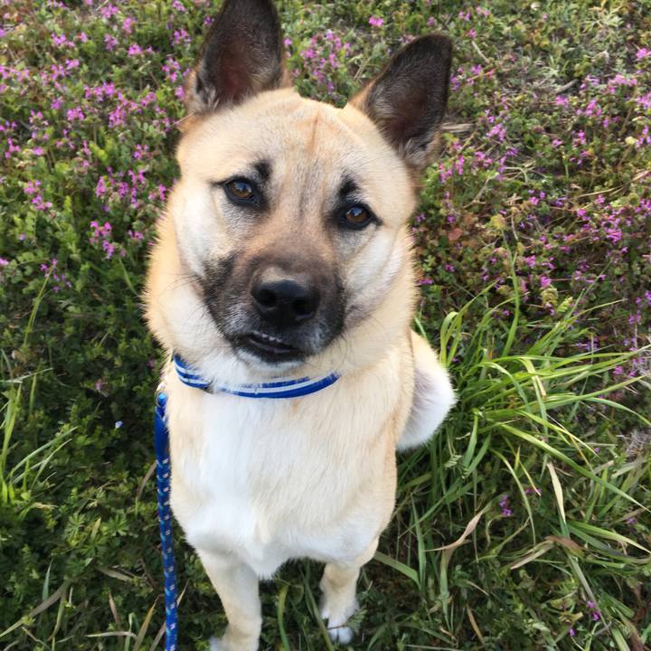 07ee6438 6912 4080 8b01 87e9bdb279f4