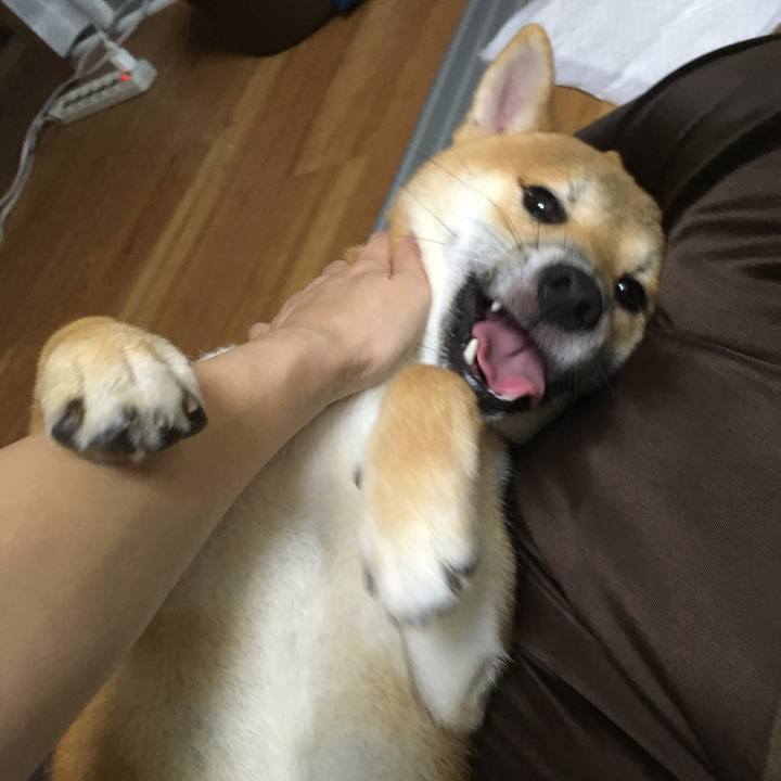 07ee76f0 dc35 446c bc16 7b309eeb8301