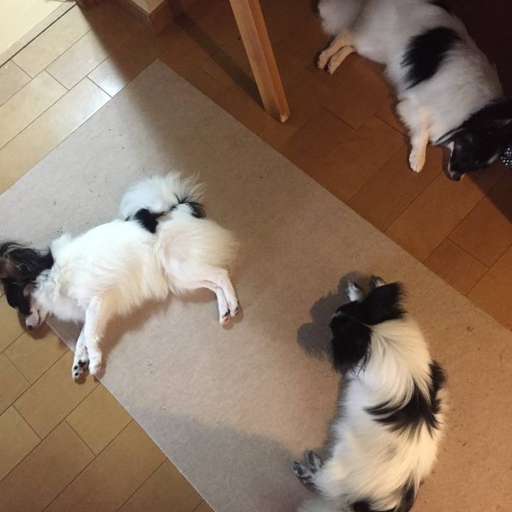 07ee8471 6d91 4431 ac82 587850075c63