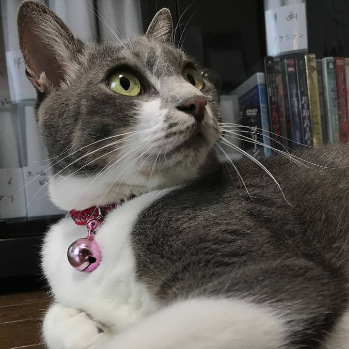 07f01051 03f1 4b98 b752 d5a36a0d34a0