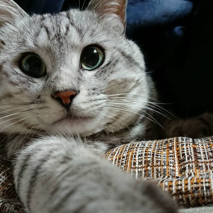 07f0aee0 87c5 4de8 9f84 7f3a02ae73f4